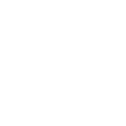 Solar-Fabrik-Logo-white-rgb